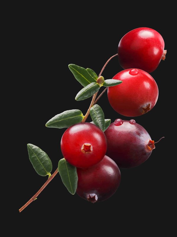 Comment styliser des gilets sans manches pour une superposition hivernale élégante ?